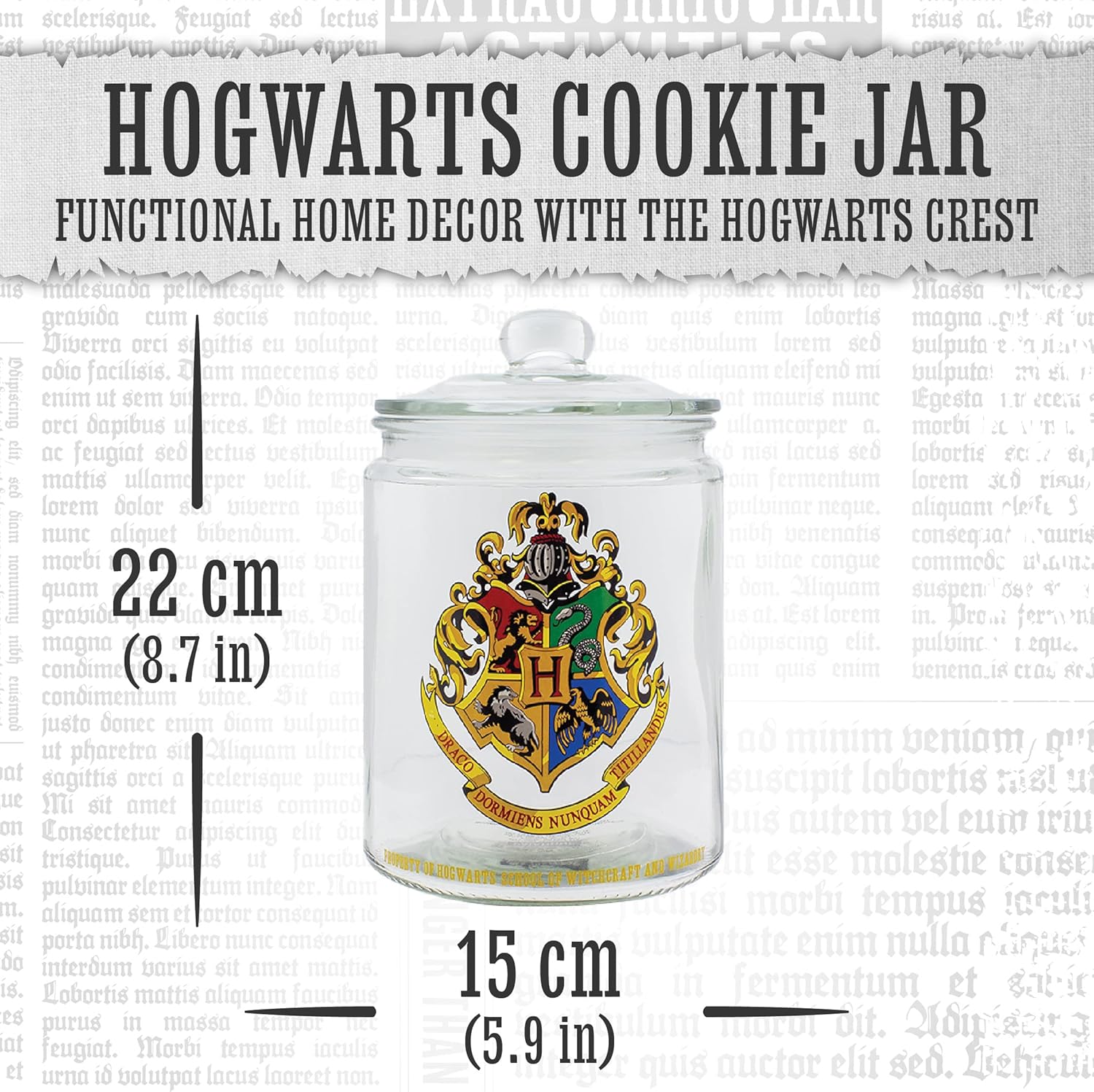 HARRY POTTER RECIPIENTE PARA GALLETAS